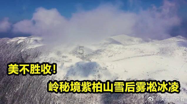 影视工厂