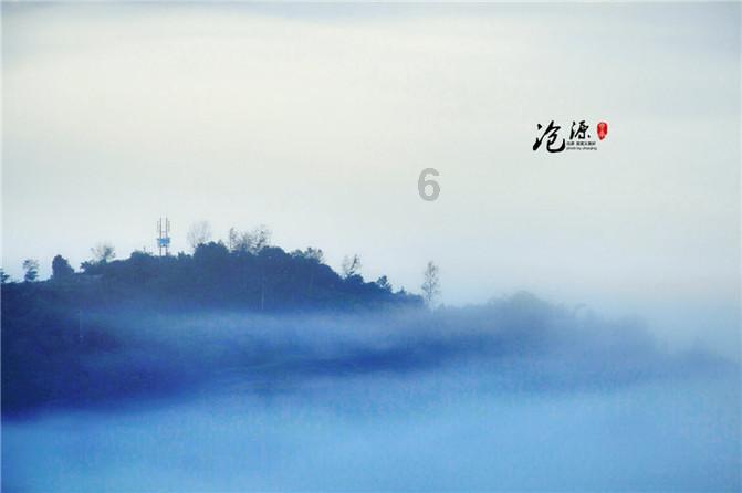 大寒将至,清远阳山千亩李花竞相绽放,漫山遍野如白雪覆盖