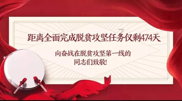 你是我们的兔仙女