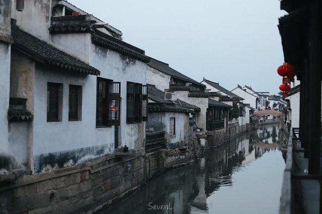 动物帮帮忙保卫家园