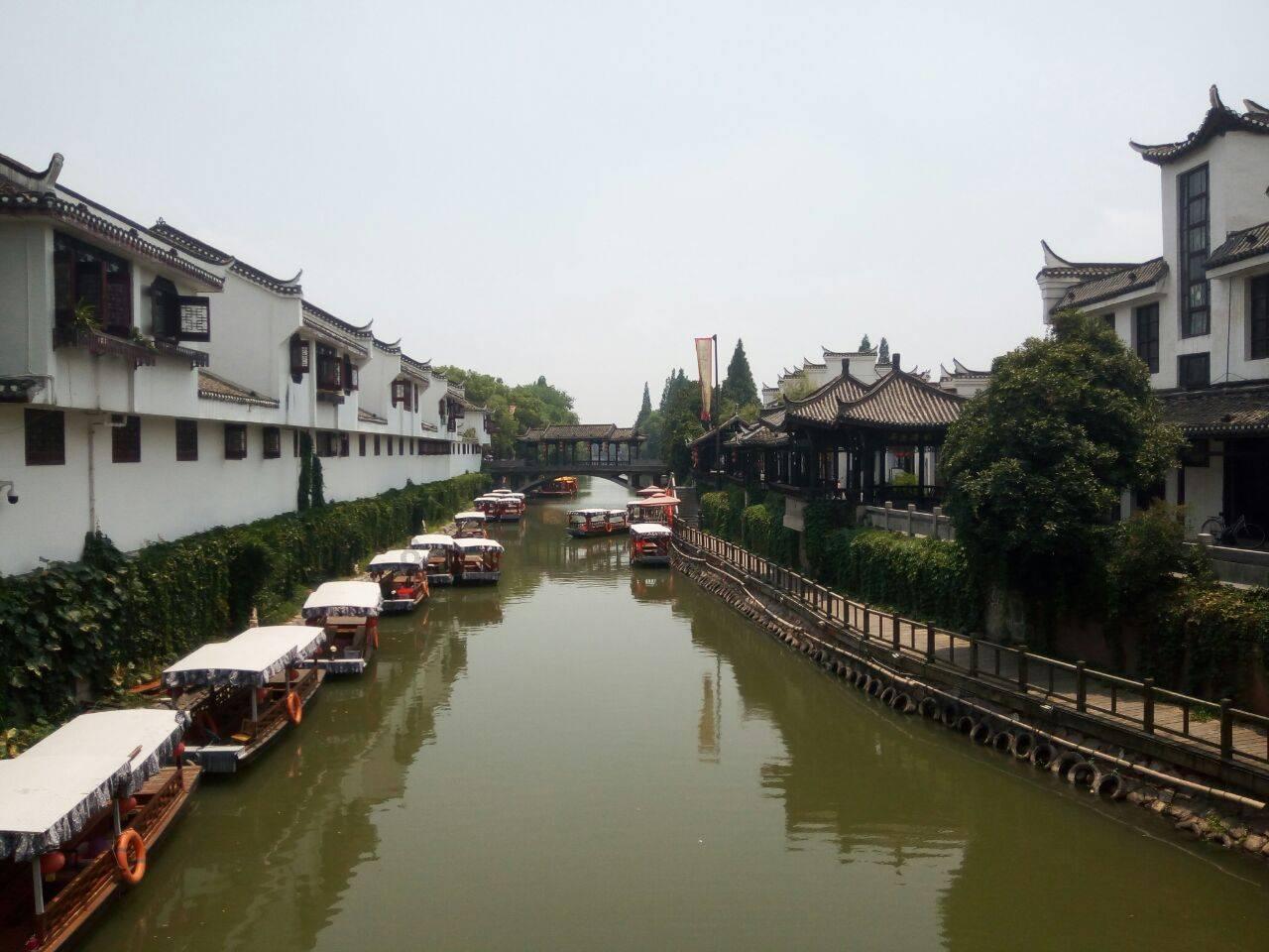 迷失在荒野